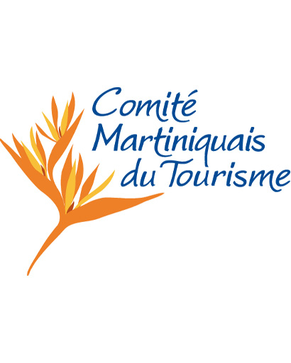 cmt